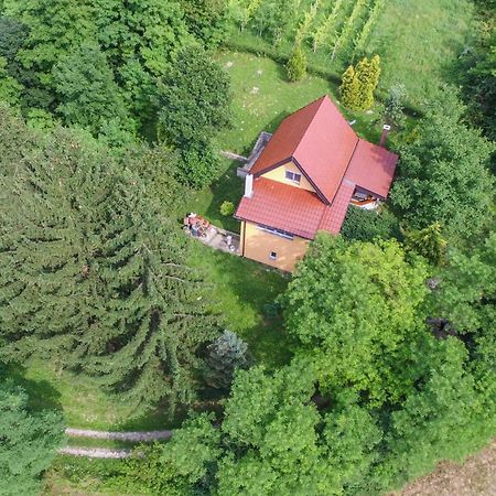 Villa Lorena Krapinske Toplice Exterior foto